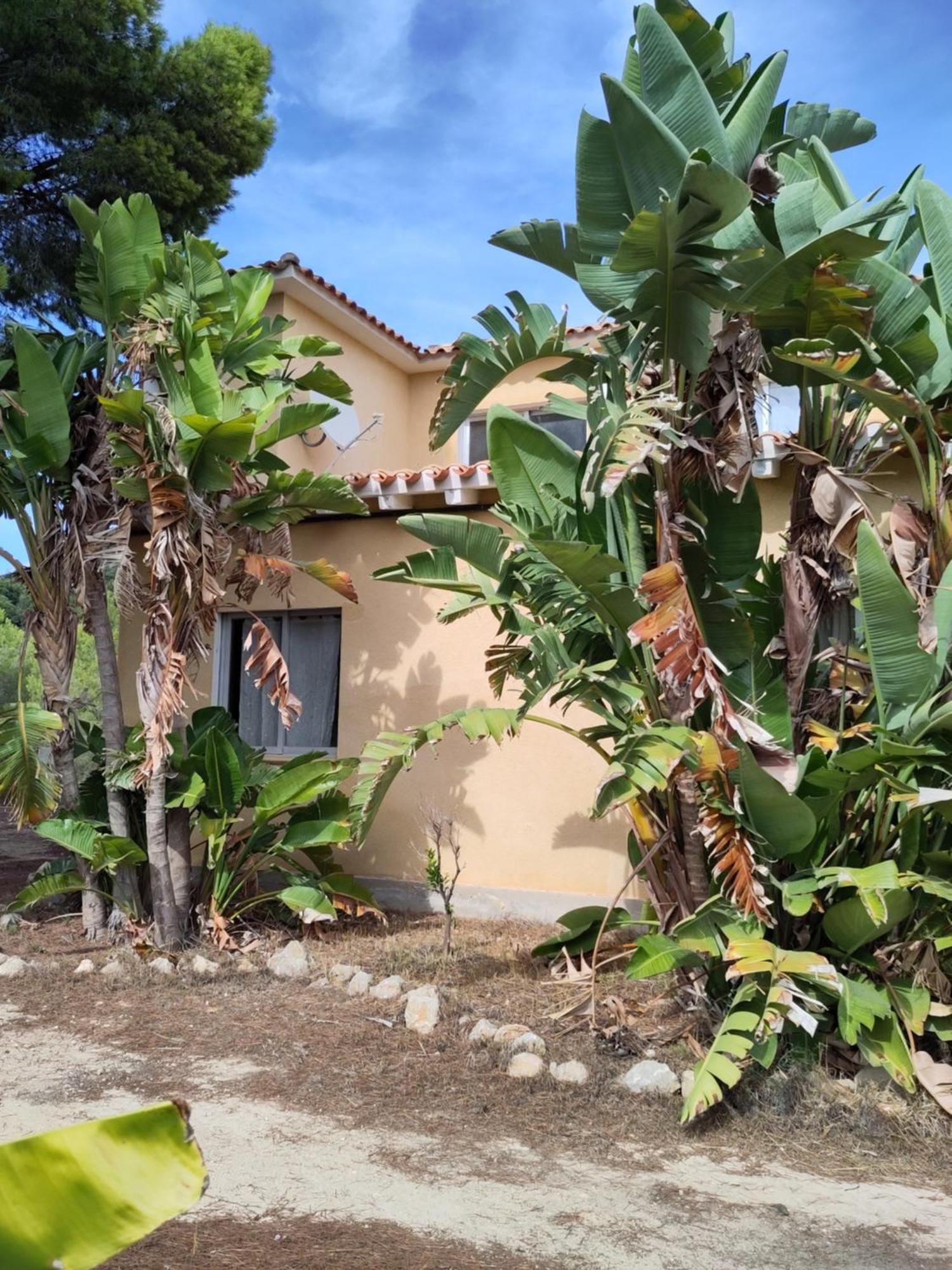 Finca Caracol Bolulla Экстерьер фото